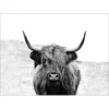 Pro_Art_Bilderpalette Keilrahmenbild »Scottish Highland Cattle«, Rahmen: Holzwerkstoff, Natur -Wohnen Wohndeko Verkäufe unnamed file 6243