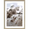 Pro_Art_Bilderpalette Gerahmtes Bild »In The Breeze VI«, Rahmen: Holzwerkstoff, Natur 1 Pro_Art_Bilderpalette Gerahmtes Bild »In The Breeze VI«, Rahmen: Holzwerkstoff, Natur -Wohnen Wohndeko Verkäufe unnamed file 6258