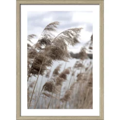 Pro_Art_Bilderpalette Gerahmtes Bild »In The Breeze VI«, Rahmen: Holzwerkstoff, Natur