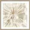 Pro_Art_Bilderpalette Gerahmtes Bild »Dandelion I«, Rahmen: Holzwerkstoff, Natur -Wohnen Wohndeko Verkäufe unnamed file 6281