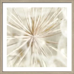 Pro_Art_Bilderpalette Gerahmtes Bild »Dandelion I«, Rahmen: Holzwerkstoff, Natur