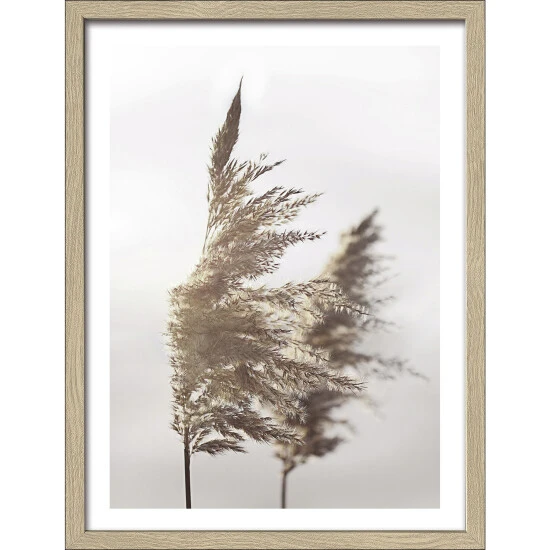 Pro_Art_Bilderpalette Gerahmtes Bild »In The Breeze III«, Rahmen: Holzwerkstoff, Natur 3 Pro_Art_Bilderpalette Gerahmtes Bild »In The Breeze III«, Rahmen: Holzwerkstoff, Natur