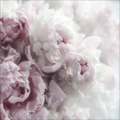 Pro_Art_Bilderpalette Keilrahmenbild »Pfingstrosen«, Rahmen: Holzwerkstoff, Natur