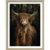 Pro_Art_Bilderpalette Gerahmtes Bild »Scottish Highland Cattle VI«, Rahmen: Holzwerkstoff, Natur -Wohnen Wohndeko Verkäufe unnamed file 6291