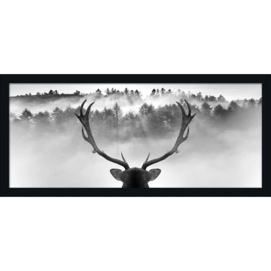 Pro_Art_Bilderpalette Gerahmtes Bild »King Of The Forest«, Rahmen: Holzwerkstoff, Schwarz 3 Pro_Art_Bilderpalette Gerahmtes Bild »King Of The Forest«, Rahmen: Holzwerkstoff, Schwarz