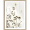 Pro_Art_Bilderpalette Gerahmtes Bild »Dried Poppies«, Rahmen: Holzwerkstoff, Natur -Wohnen Wohndeko Verkäufe unnamed file 6316
