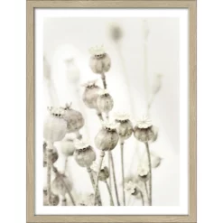 Pro_Art_Bilderpalette Gerahmtes Bild »Dried Poppies«, Rahmen: Holzwerkstoff, Natur