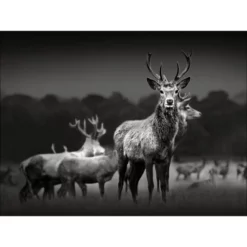 Pro_Art_Bilderpalette Keilrahmenbild »Herd Of Deer«, Rahmen: Holzwerkstoff, Natur