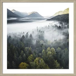 Pro_Art_Bilderpalette Gerahmtes Bild »Foggy Forest Atmosphere«, Rahmen: Holzwerkstoff, Natur
