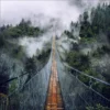 Pro_Art_Bilderpalette Keilrahmenbild »Suspension Bridge«, Rahmen: Holzwerkstoff, Natur 2 Pro_Art_Bilderpalette Keilrahmenbild »Suspension Bridge«, Rahmen: Holzwerkstoff, Natur -Wohnen Wohndeko Verkäufe unnamed file 6365