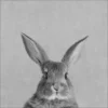 Pro_Art_Bilderpalette Keilrahmenbild »Rabbit«, Rahmen: Holzwerkstoff, Natur