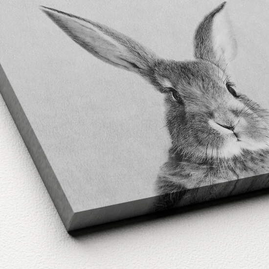 Pro_Art_Bilderpalette Keilrahmenbild »Rabbit«, Rahmen: Holzwerkstoff, Natur 5 Pro_Art_Bilderpalette Keilrahmenbild »Rabbit«, Rahmen: Holzwerkstoff, Natur – Bild 3