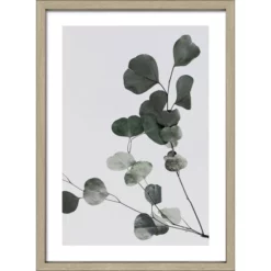 Pro_Art_Bilderpalette Gerahmtes Bild »Eucalyptus Branch II«, Rahmen: Holzwerkstoff, Natur