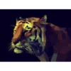 Pro_Art_Bilderpalette Keilrahmenbild »Colourful Tiger«, Rahmen: Holzwerkstoff, Natur 2 Pro_Art_Bilderpalette Keilrahmenbild »Colourful Tiger«, Rahmen: Holzwerkstoff, Natur -Wohnen Wohndeko Verkäufe unnamed file 6397