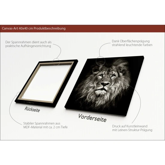 Pro_Art_Bilderpalette Keilrahmenbild »Lionhead«, Rahmen: Holzwerkstoff, Natur 4 Pro_Art_Bilderpalette Keilrahmenbild »Lionhead«, Rahmen: Holzwerkstoff, Natur – Bild 2