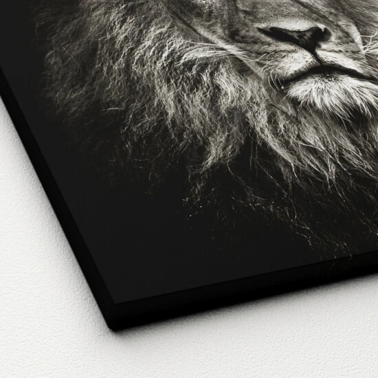 Pro_Art_Bilderpalette Keilrahmenbild »Lionhead«, Rahmen: Holzwerkstoff, Natur 5 Pro_Art_Bilderpalette Keilrahmenbild »Lionhead«, Rahmen: Holzwerkstoff, Natur – Bild 3