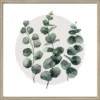 Pro_Art_Bilderpalette Gerahmtes Bild »Different Eucalyptus Branches L«, Rahmen: Holzwerkstoff, Natur -Wohnen Wohndeko Verkäufe unnamed file 6410