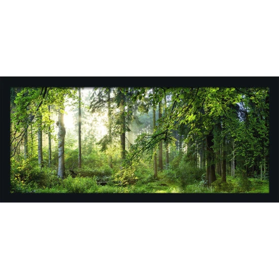 Pro_Art_Bilderpalette Gerahmtes Bild »Forest Harmony«, Rahmen: Holzwerkstoff, Schwarz 3 Pro_Art_Bilderpalette Gerahmtes Bild »Forest Harmony«, Rahmen: Holzwerkstoff, Schwarz