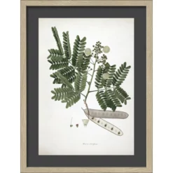 Pro_Art_Bilderpalette Gerahmtes Bild »Cylon Rosewood«, Rahmen: Holzwerkstoff, Natur