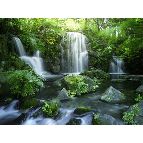 Pro_Art_Bilderpalette Keilrahmenbild »Forest + Waterfall I«, Rahmen: Holzwerkstoff, Natur 3 Pro_Art_Bilderpalette Keilrahmenbild »Forest + Waterfall I«, Rahmen: Holzwerkstoff, Natur
