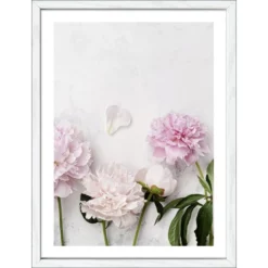 Pro_Art_Bilderpalette Gerahmtes Bild »Peonies Ll«, Rahmen: Holzwerkstoff, Weiß