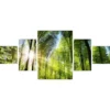 Pro_Art_Bilderpalette Keilrahmenbild-Set »Green Forest«, Rahmen: Holzwerkstoff, Natur 1 Pro_Art_Bilderpalette Keilrahmenbild-Set »Green Forest«, Rahmen: Holzwerkstoff, Natur -Wohnen Wohndeko Verkäufe unnamed file 6465