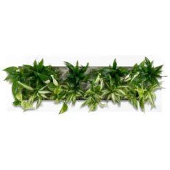 Pflanzenbild »Flowerwall«, BxHxT: 89 X 33 X 22 Cm, Weiß