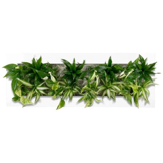 Pflanzenbild »Flowerwall«, BxHxT: 89 X 33 X 22 Cm, Weiß 3 Pflanzenbild »Flowerwall«, BxHxT: 89 X 33 X 22 Cm, Weiß