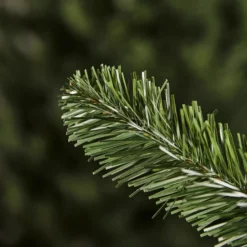 Evergreen Weihnachtsbaum »Oxford Kiefer «, Höhe: 180 Cm, Grün -Wohnen Wohndeko Verkäufe unnamed file 6589