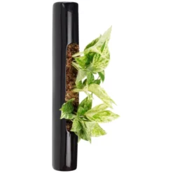 Pflanzen In Keramik, BxHxT: 40 X 6,5 X 22 Cm, Schwarz