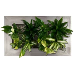 Pflanzenbild »Flowerwall«, BxHxT: 55 X 33 X 22 Cm, Silberfarben