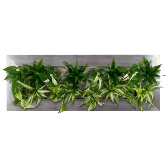 Pflanzenbild »Flowerwall«, BxHxT: 89 X 33 X 22 Cm, Silberfarben 3 Pflanzenbild »Flowerwall«, BxHxT: 89 X 33 X 22 Cm, Silberfarben