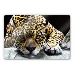 K&L Wall Art Glasbild »Glasbild«, (BxH): X