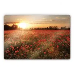 K&L Wall Art Glasbild »Glasbild«, (BxH): X