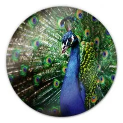 K&L Wall Art Glasbild »Glasbild«, (BxH): X