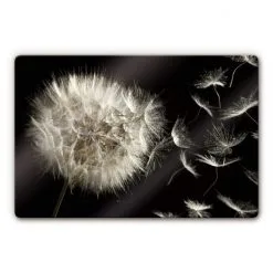 K&L Wall Art Glasbild »Glasbild«, (BxH): X