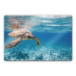 K&L Wall Art Glasbild »Glasbild«, (BxH): X