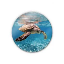 K&L Wall Art Glasbild »Glasbild«, (BxH): X