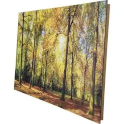 Deko-Panel »GRAP«, BxH: 50 X 100 Cm, Motiv: Sunny Forest -Wohnen Wohndeko Verkäufe unnamed file 7017