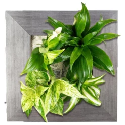 Pflanzenbild »Flowerwall«, BxHxT: 31 X 31 X 22 Cm, Silberfarben