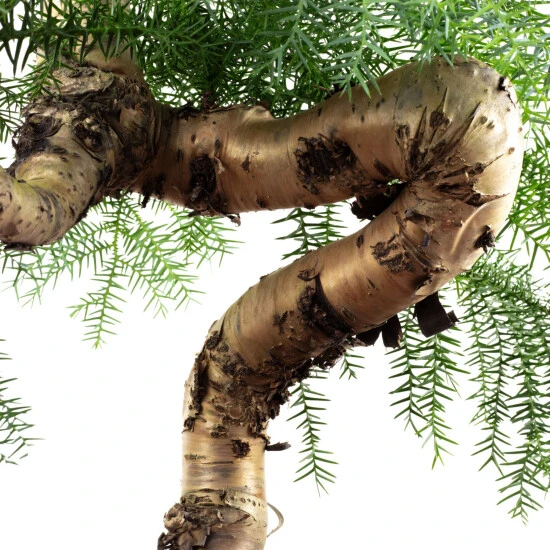 Flowerbox Bonsai, Im Kunststoff-Kulturtopf 4 Flowerbox Bonsai, Im Kunststoff-Kulturtopf – Bild 2