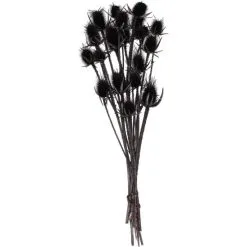 Flowerbox Trockenblumen »Distel«