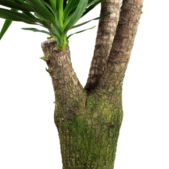 Flowerbox Palmlilie, Thuja Occidentalis Smaragd 4 Flowerbox Palmlilie, Thuja Occidentalis Smaragd – Bild 2