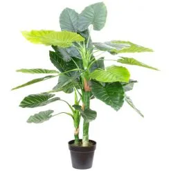 Flowerbox Kunstpflanze, Taro - Colocasia Esculenta - Höhe Ca. 120 Cm, Topf-Ø 20 Cm