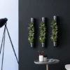 Pflanzen In Keramik 3er-Set, BxHxT: 65 X 7,5 X 22 Cm, Grün