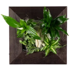 Pflanzenbild »Flowerwall«, BxHxT: 31 X 31 X 22 Cm, Braun