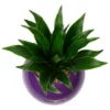 Pflanzen In Keramik, BxHxT: 12 X 12 X 22 Cm, Lila -Wohnen Wohndeko Verkäufe unnamed file 750