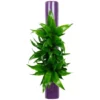 Pflanzen In Keramik, BxHxT: 40 X 6,5 X 22 Cm, Lila