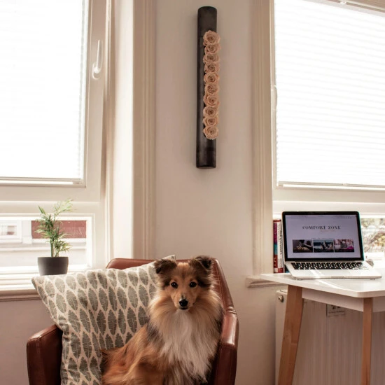 Flowerbox Rosen, Bunt 4 Flowerbox Rosen, Bunt – Bild 2