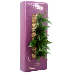 Pflanzen In Keramik, BxHxT: 40 X 16 X 22 Cm, Lila